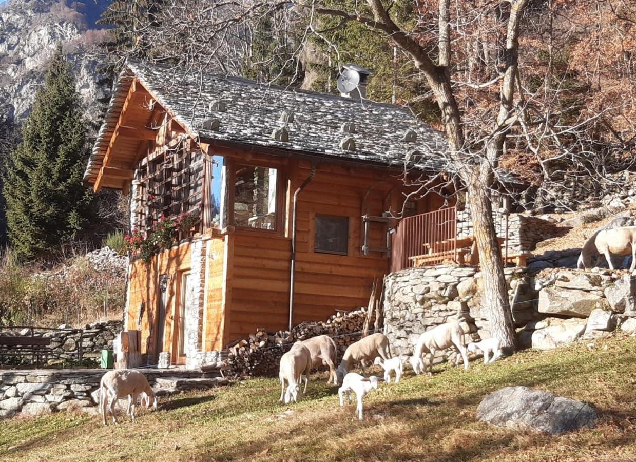 Baita del noce Mollia Exterior foto